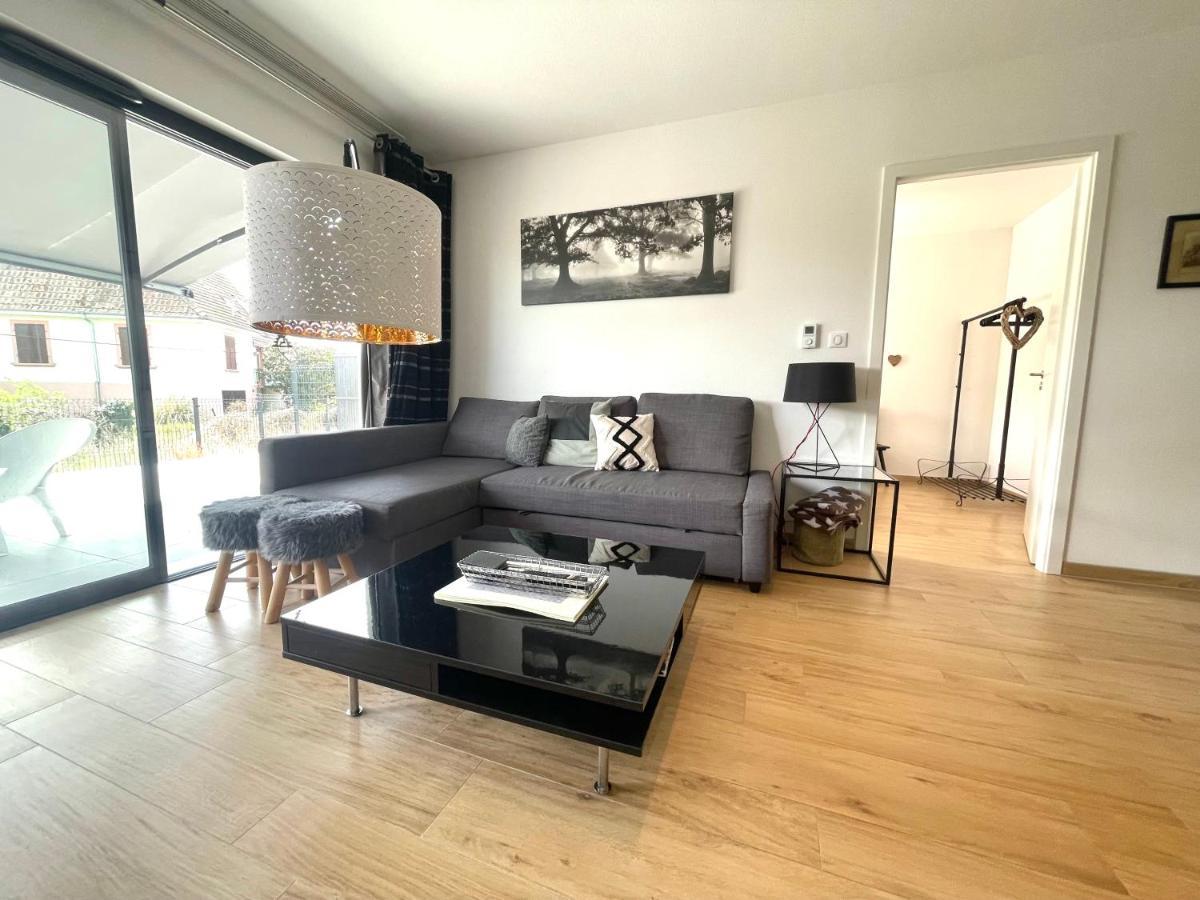 קולמר Magnifique 2 Pieces, Tout Equipe, Terrasse Privee מראה חיצוני תמונה